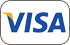 Visa payment logo